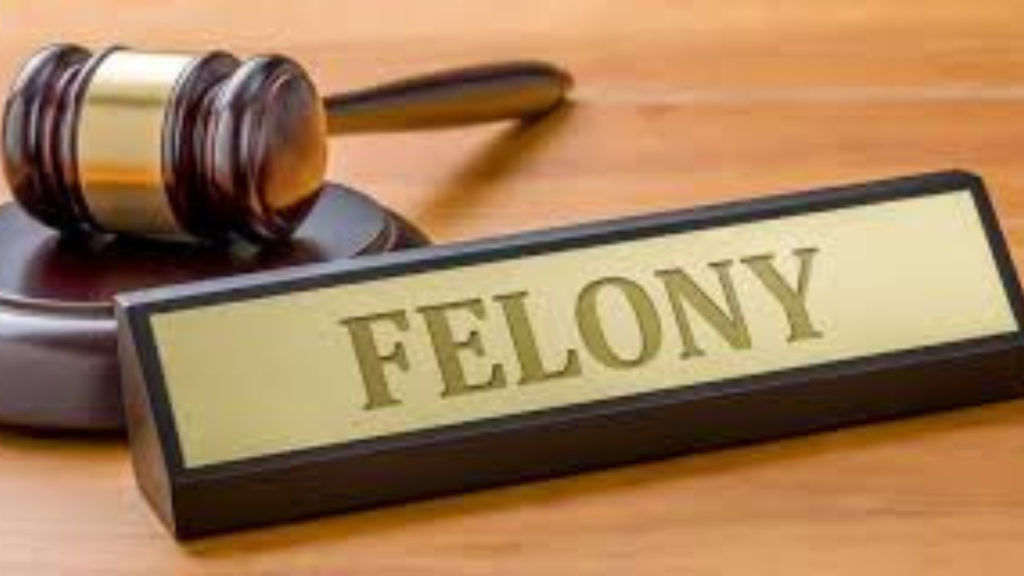 Felony Bail Bonds